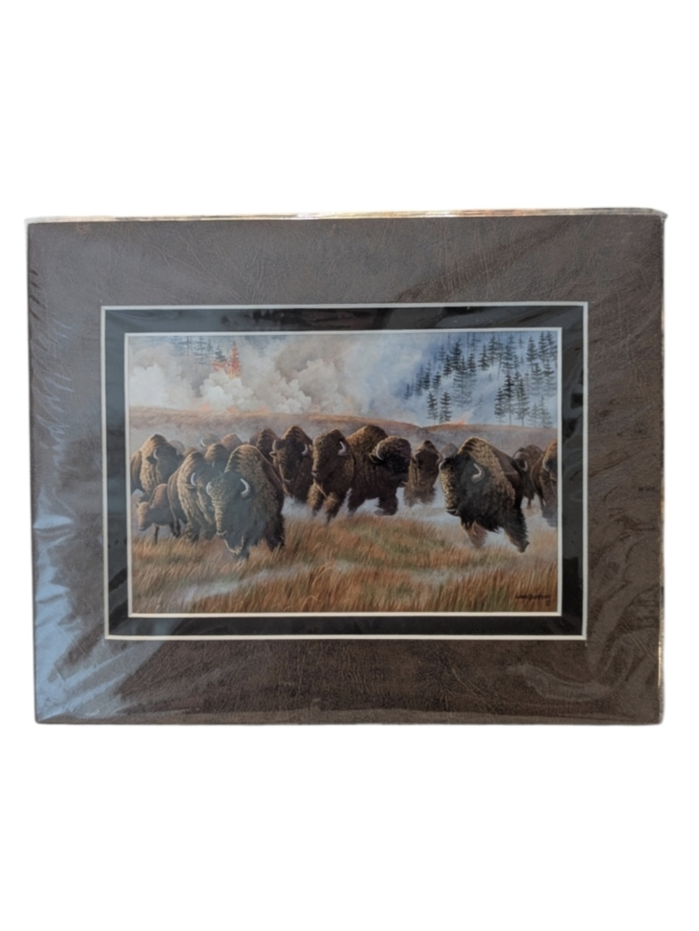 New Double Matted Art Print "Dry Summer" Signed By Artist Lane Kendrick 8"x 10"